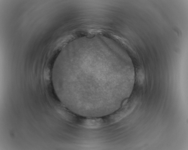 X0000113300571200910131050