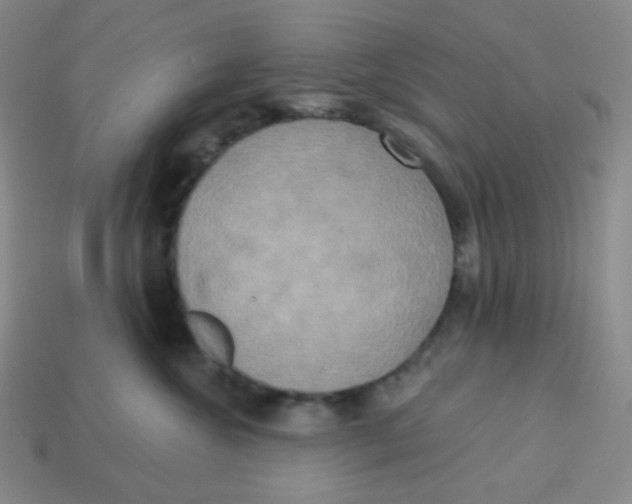 X0000113300572200910131050
