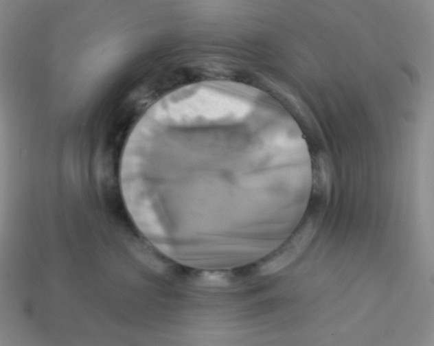 X0000113300573200910131050