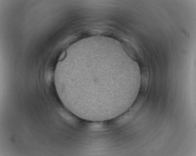 X0000113300574200910131050