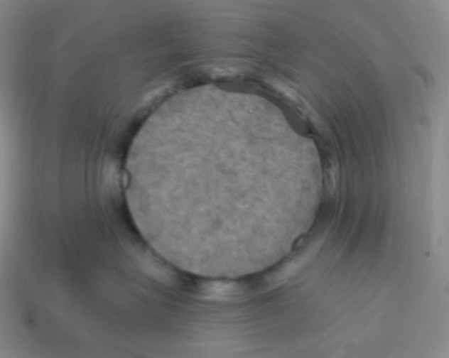 X0000113300575200910131050
