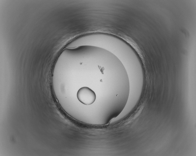 X0000113300577200910131049