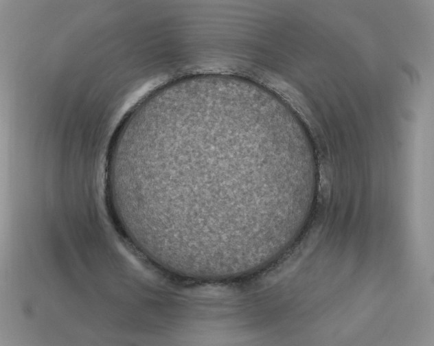 X0000113300578200910131049