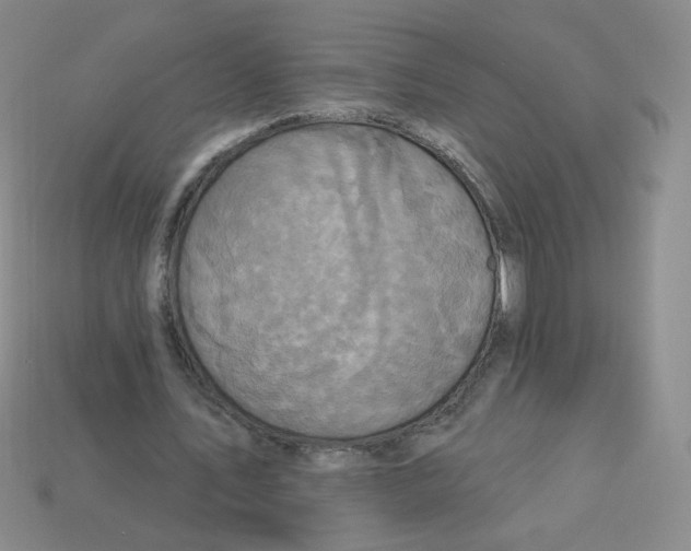 X0000113300579200910131049