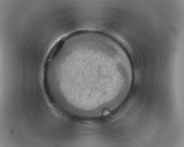 X0000113300580200910131049