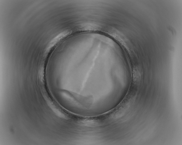 X0000113300581200910131049