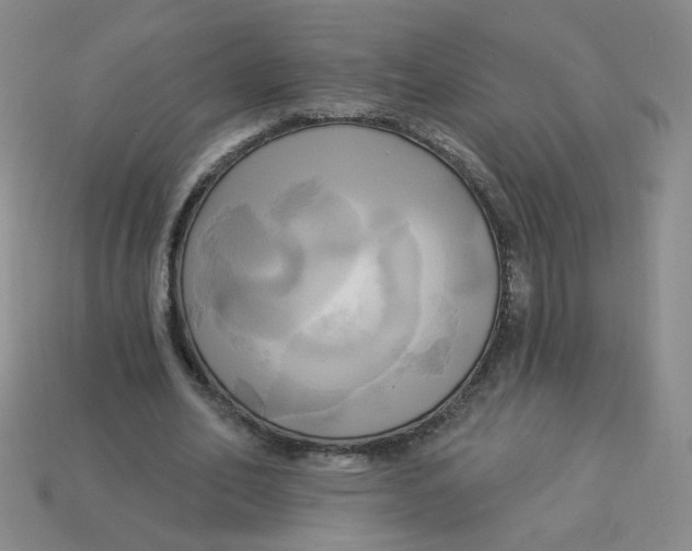 X0000113300582200910131049