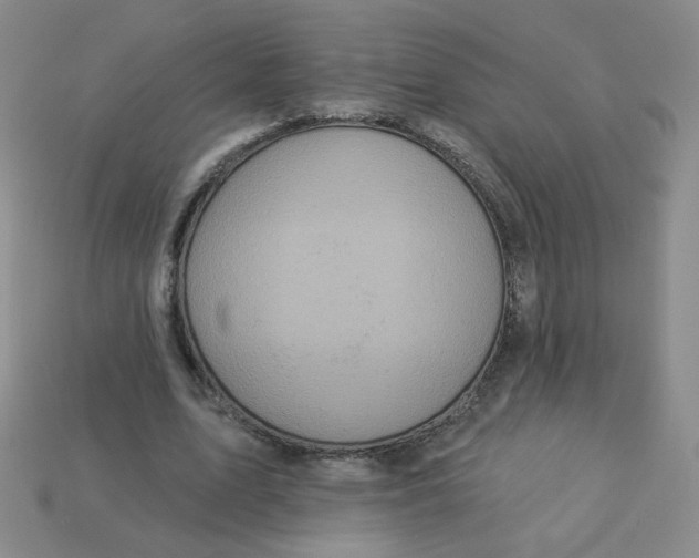 X0000113300583200910131049