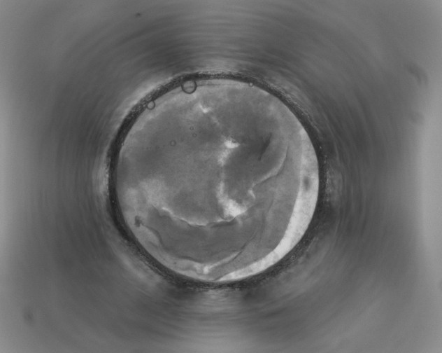 X0000113300584200910131049