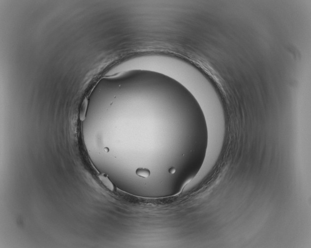 X0000113300585200910131049