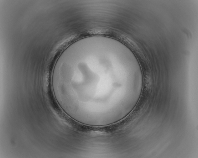 X0000113300586200910131049