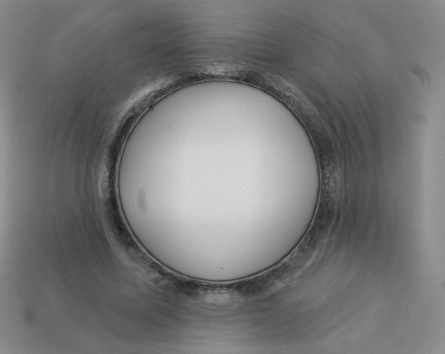 X0000113300587200910131049