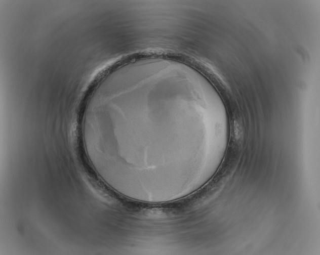 X0000113300588200910131049