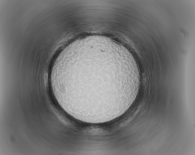 X0000113300589200910131049