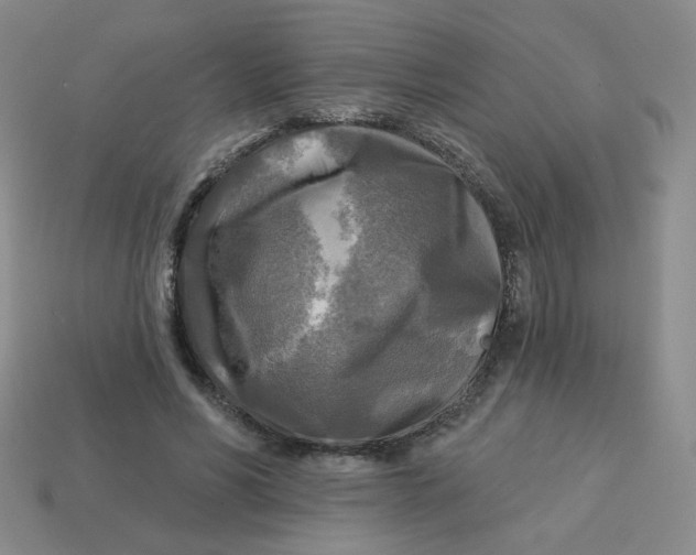 X0000113300590200910131049