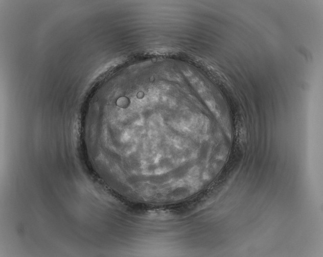 X0000113300591200910131049