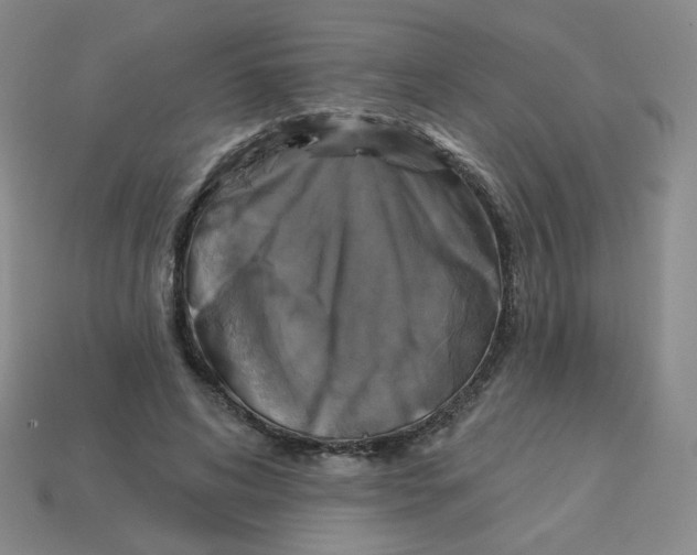X0000113300592200910131049