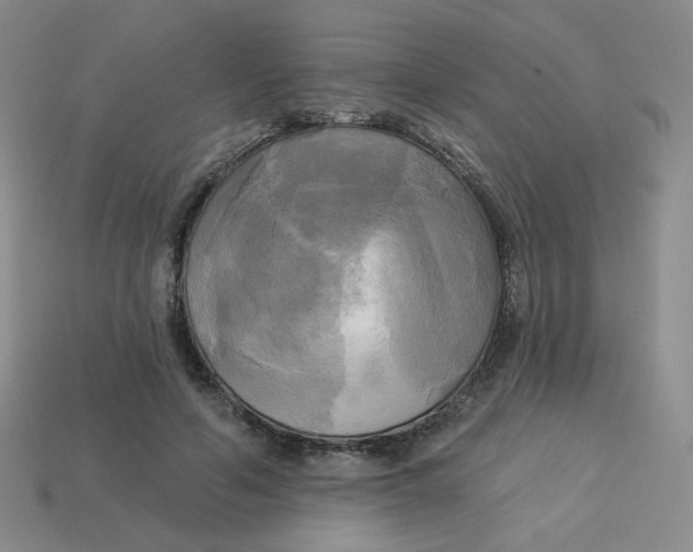 X0000113300594200910131049