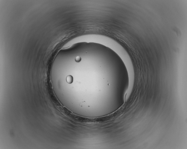 X0000113300595200910131049