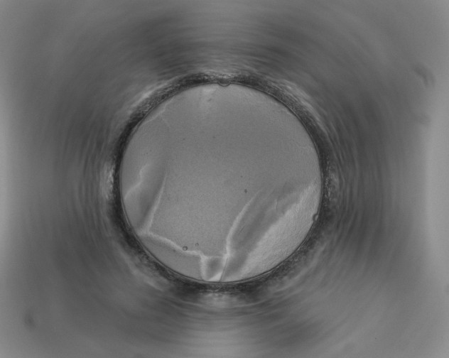 X0000113300596200910131049