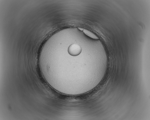 X0000113300597200910131049