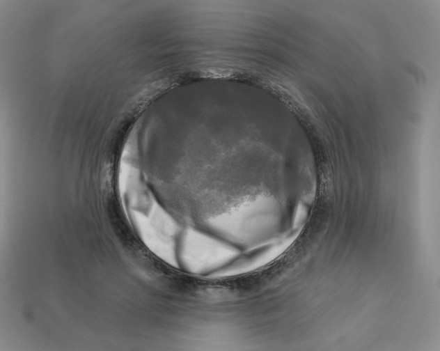 X0000113300598200910131049