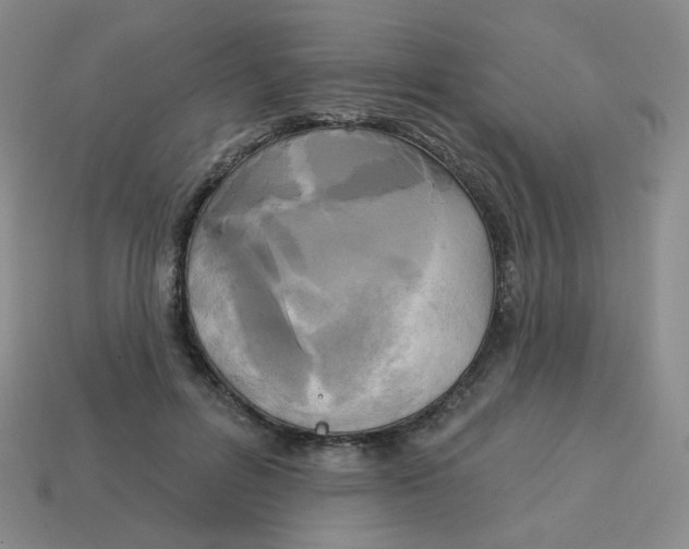 X0000113300600200910131049