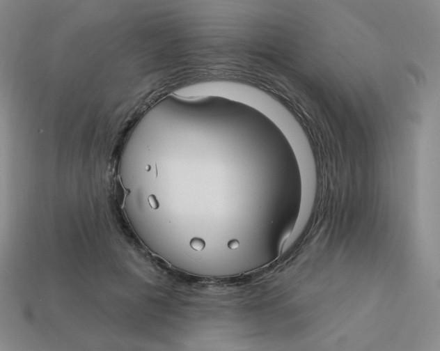 X0000113300601200910131049