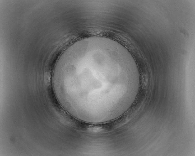 X0000113300602200910131049