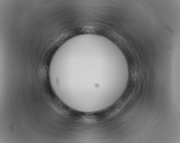 X0000113300603200910131049