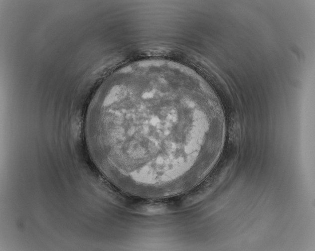 X0000113300604200910131049