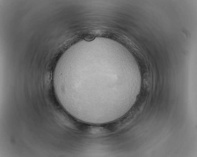 X0000113300605200910131049