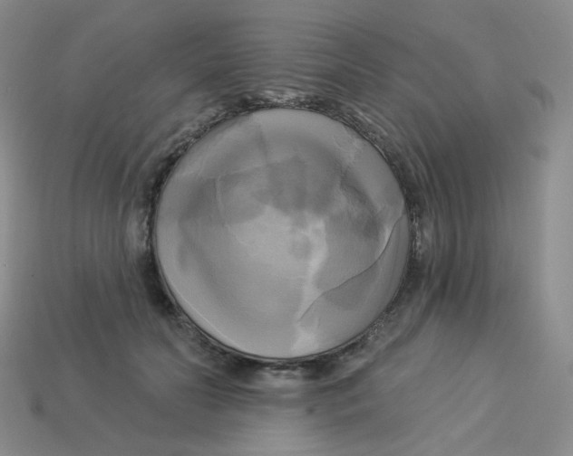 X0000113300606200910131049