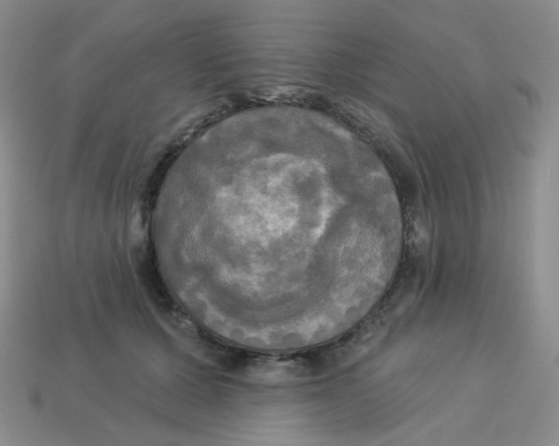 X0000113300607200910131049