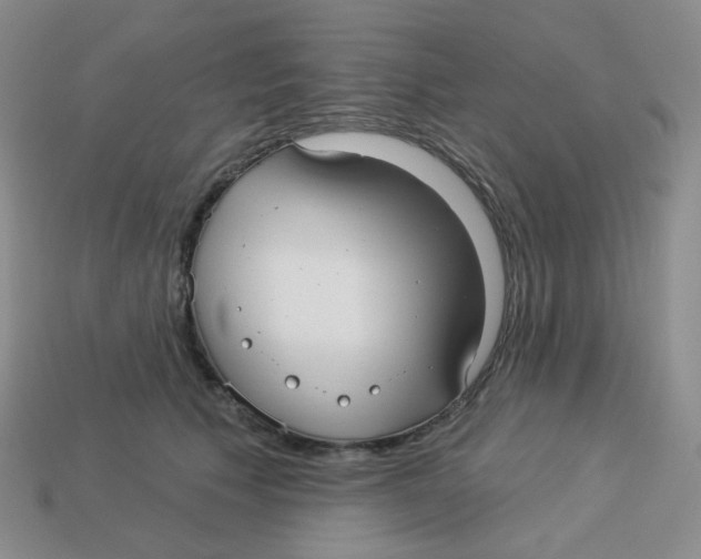 X0000113300609200910131049