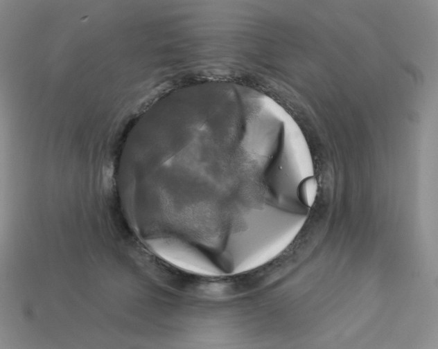 X0000113300610200910131049