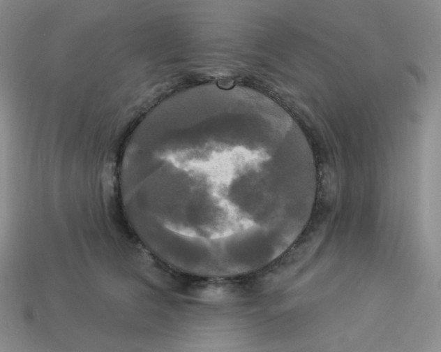 X0000113300612200910131049