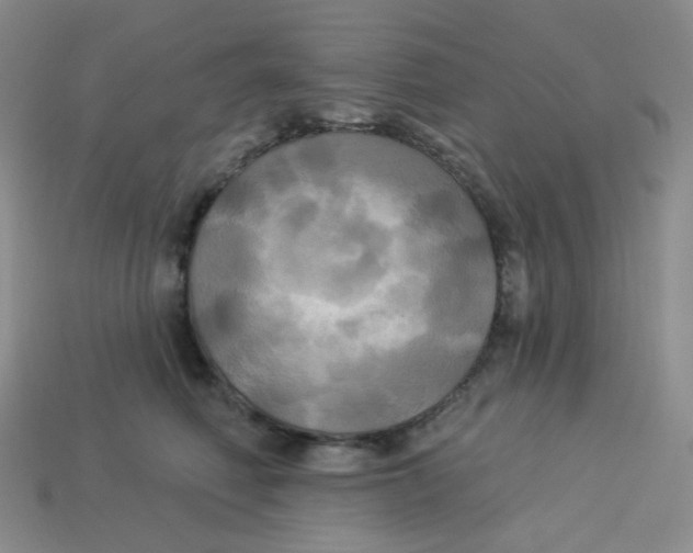 X0000113300614200910131049