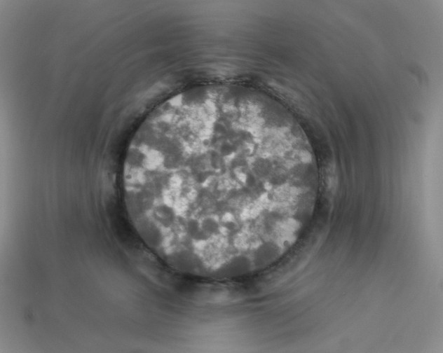 X0000113300615200910131049