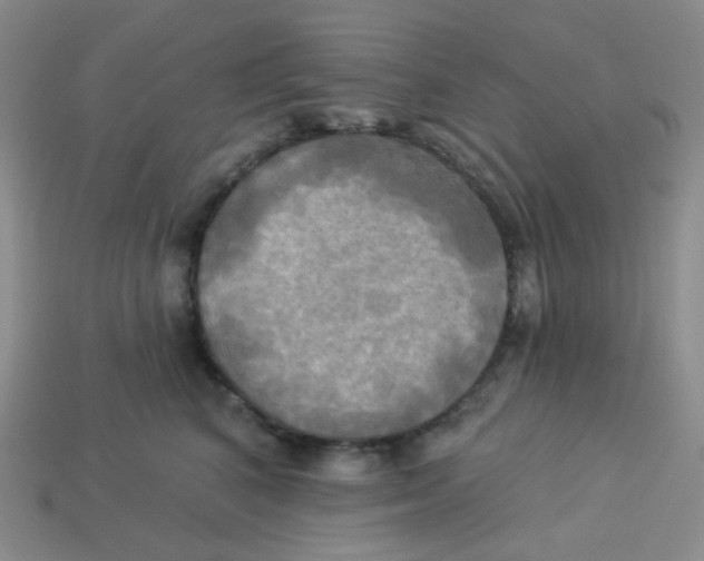 X0000113300616200910131049