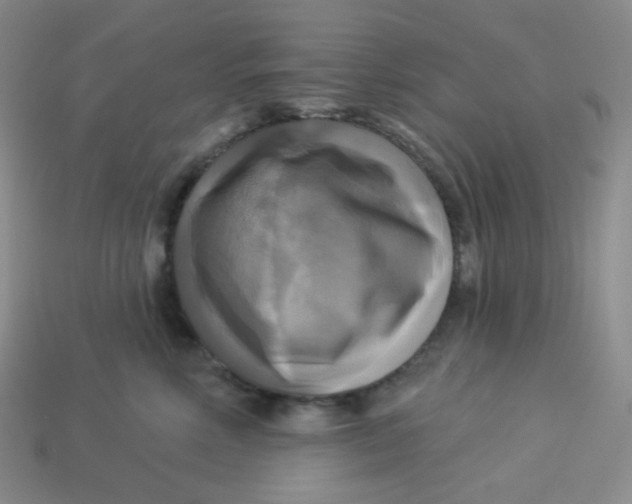 X0000113300618200910131049