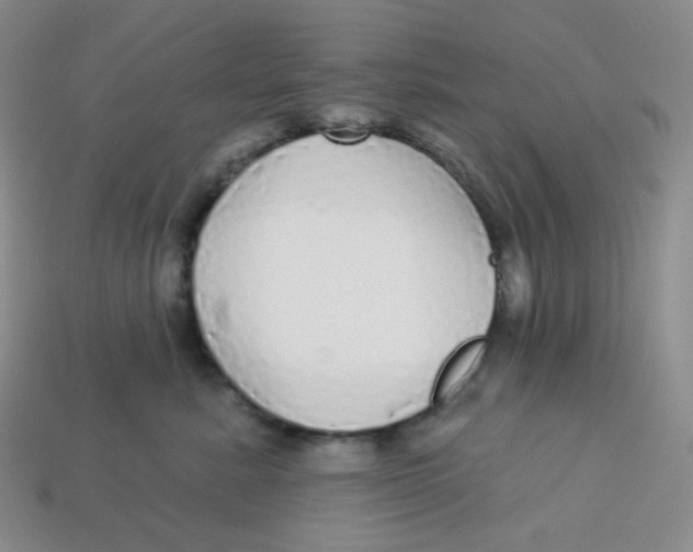 X0000113300619200910131049