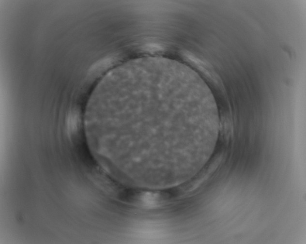 X0000113300623200910131048