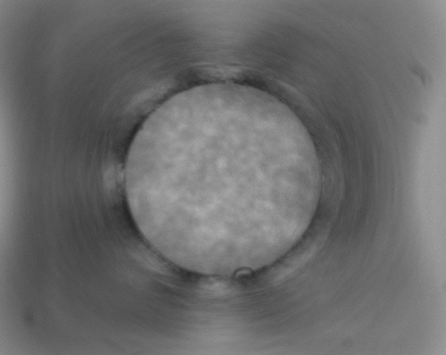 X0000113300624200910131048