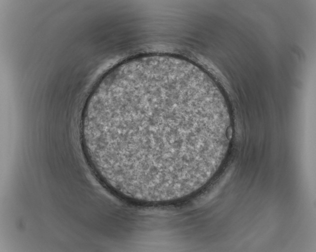 X0000113300625200910131048