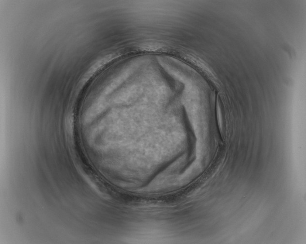 X0000113300626200910131048
