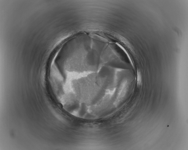 X0000113300627200910131048