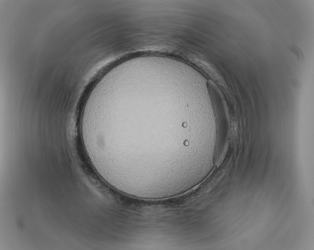 X0000113300628200910131048