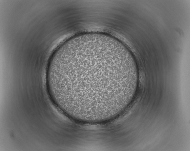 X0000113300629200910131048