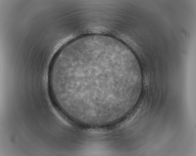 X0000113300630200910131048